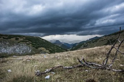 Berge mit einem toten Ast im Vordergrund